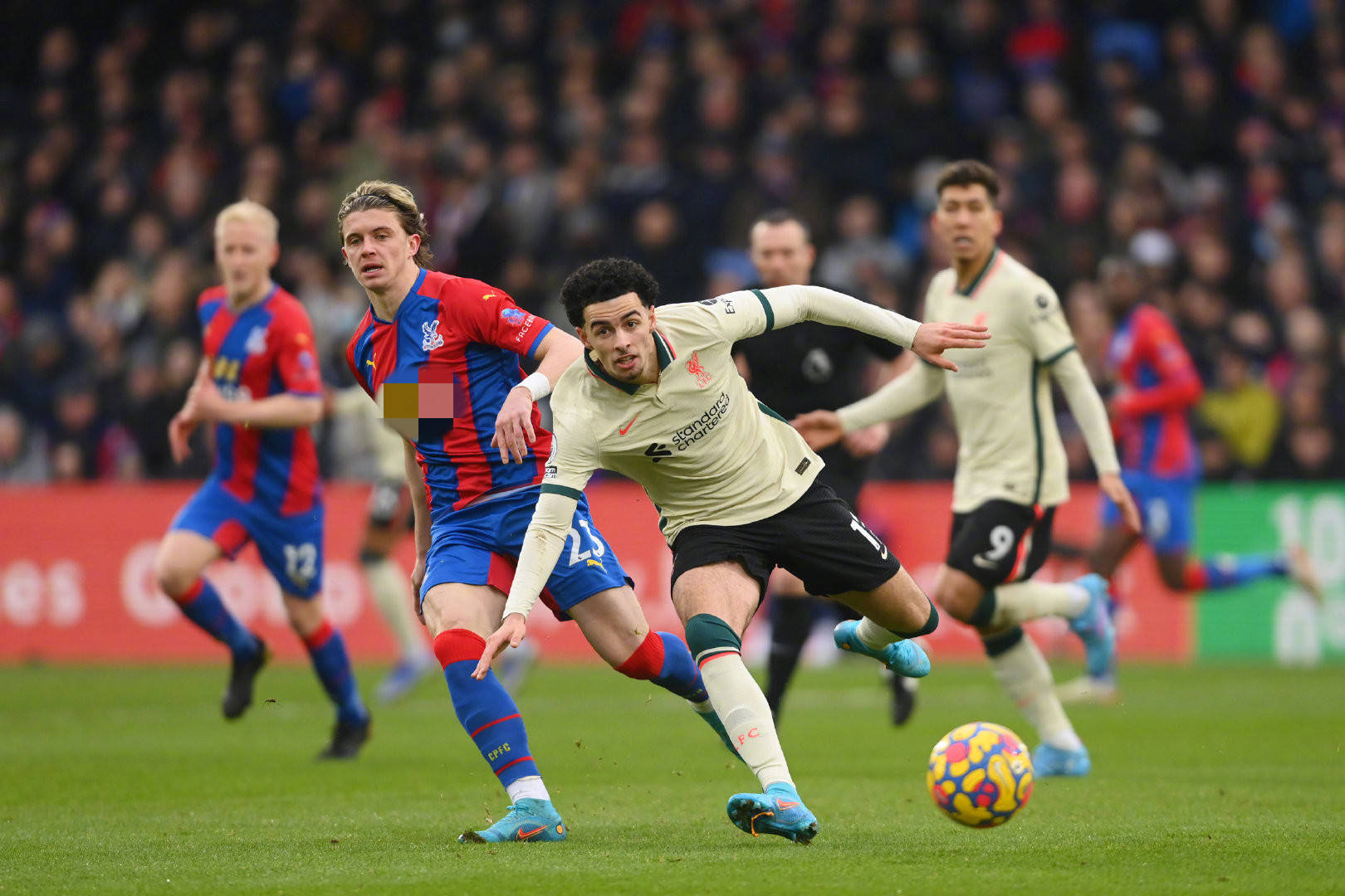 任何位置的 任何位置的