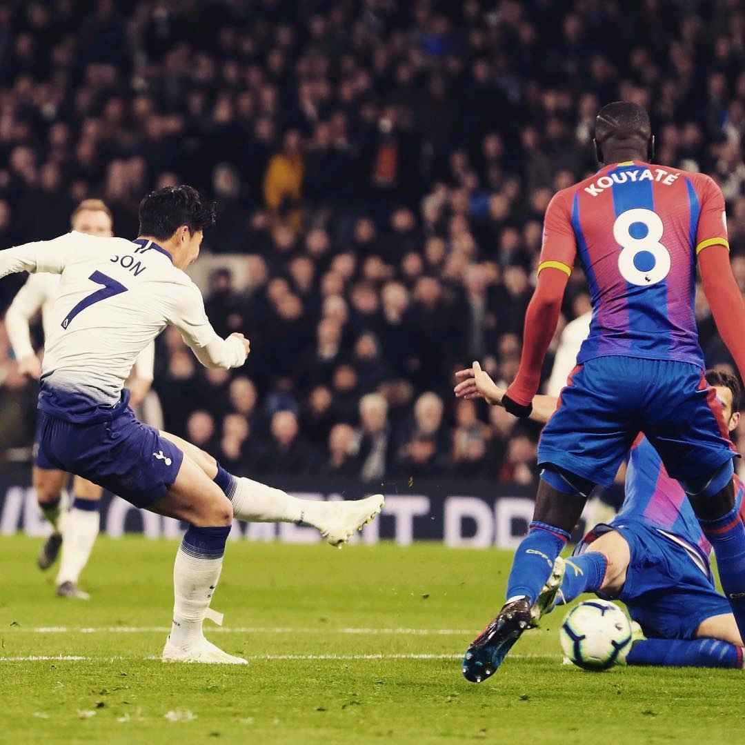 球观众的目 球观众的目